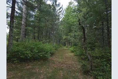 927 Blackhawk Lane, Friendship, WI 53934 - Photo 3