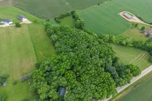 N2291 Richland Rd, Monroe, WI 53566 - Photo 19