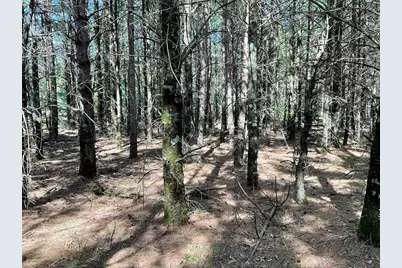 5.7 Acres Browndeer Avenue, Friendship, WI 53934 - Photo 5