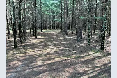 5.7 Acres Browndeer Avenue, Friendship, WI 53934 - Photo 1