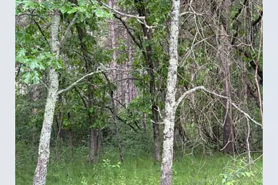 Lot 13 19th Boulevard, Friendship, WI 53934 - Photo 3