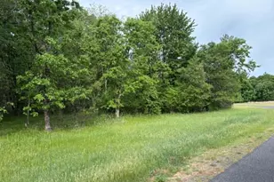 Lot 13 19th Blvd, Friendship, WI 53934 - Photo 1