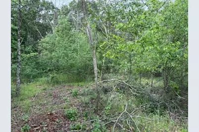Lot 13 19th Boulevard, Friendship, WI 53934 - Photo 13