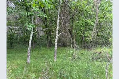 Lot 13 19th Boulevard, Friendship, WI 53934 - Photo 15