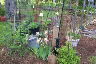 W6052 County Road D Rd, Montello, WI 53949 - Photo 37