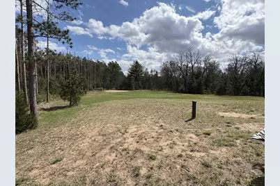 1617 Browndeer Drive, Arkdale, WI 54613 - Photo 5