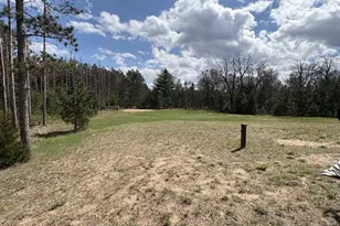 1617 Browndeer Dr, Arkdale, WI 54613 - Photo 5
