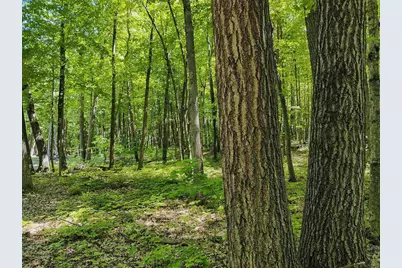 11.34 Acres Forest Road, Plymouth, WI 53073 - Photo 13