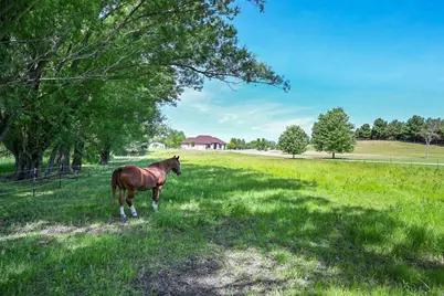 11129 N Charley Bluff Road, Milton, WI 53563 - Photo 51