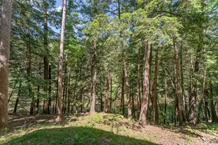 283 Alcan Dr, Lake Delton, WI 53913 - Photo 45