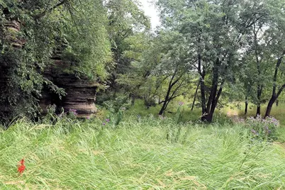 55 Bowman Road #311, Wisconsin Dells, WI 53965 - Photo 73