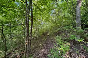 S6073 Sidie Hollow Rd, Viroqua, WI 54665 - Photo 33