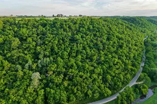 S6073 Sidie Hollow Rd, Viroqua, WI 54665 - Photo 31