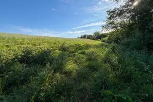 S6073 Sidie Hollow Rd, Viroqua, WI 54665 - Photo 35