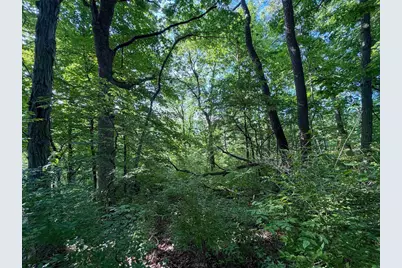 S6073 Sidie Hollow Road, Viroqua, WI 54665 - Photo 37