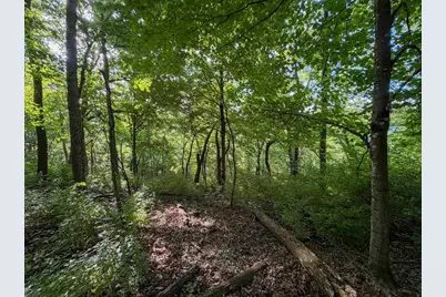 S6073 Sidie Hollow Road, Viroqua, WI 54665 - Photo 39