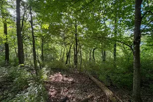 S6073 Sidie Hollow Rd, Viroqua, WI 54665 - Photo 39