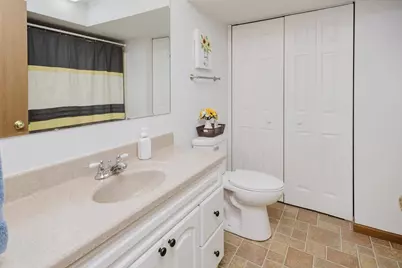329 E Madison Street, Ridgeville, WI 53533 - Photo 29