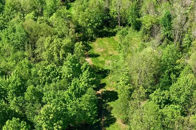 W14906 County Road J, Deerbrook, WI 54424 - Photo 71