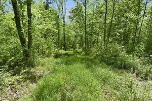 W14906 County Road J, Deerbrook, WI 54424 - Photo 55