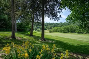 106 Aspen Glen Dr, Spring Green, WI 53588 - Photo 49