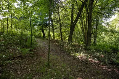 W2806 55th Street, Lyndon Station, WI 53944 - Photo 33