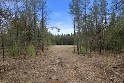 2904 14th Lane, Adams, WI 53910 - Photo 3
