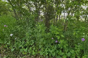 N5108 Hwy 58, Mauston, WI 53948 - Photo 7