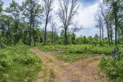 N9790 16th Avenue, Necedah, WI 54646 - Photo 45