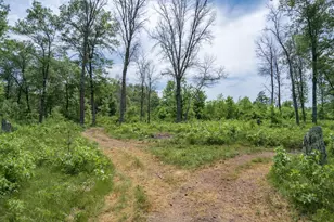 N9790 16th Ave, Necedah, WI 54646 - Photo 45