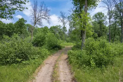 N9790 16th Avenue, Necedah, WI 54646 - Photo 43