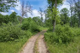 N9790 16th Ave, Necedah, WI 54646 - Photo 43