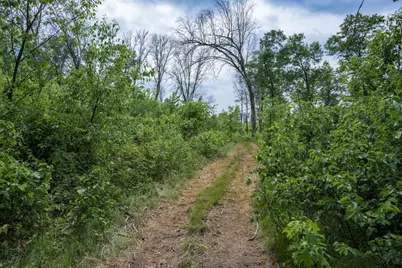 N9790 16th Avenue, Necedah, WI 54646 - Photo 47