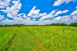 7876 Autumn Pond Trail, Middleton, WI 53562 - Photo 79