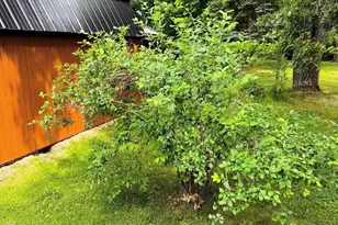 W2076 Amherst Rd, Wisconsin Dells, WI 53965 - Photo 81