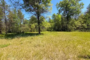 W5981 9th St, Necedah, WI 54646 - Photo 9