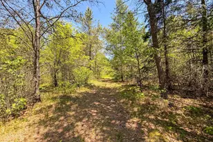 W5981 9th St, Necedah, WI 54646 - Photo 43