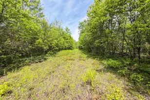 W5981 9th St, Necedah, WI 54646 - Photo 63