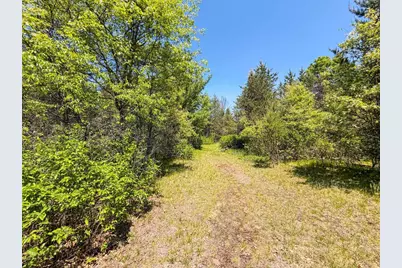 W5981 9th Street, Necedah, WI 54646 - Photo 45