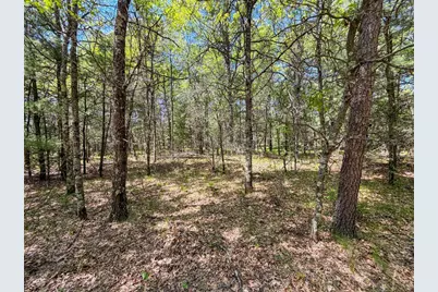 W5981 9th Street, Necedah, WI 54646 - Photo 51