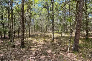 W5981 9th St, Necedah, WI 54646 - Photo 51