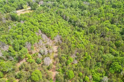 W5981 9th Street, Necedah, WI 54646 - Photo 75