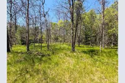 W5981 9th Street, Necedah, WI 54646 - Photo 49