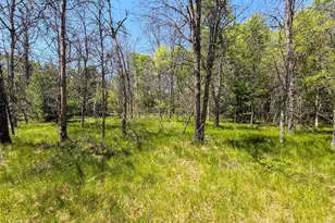 W5981 9th St, Necedah, WI 54646 - Photo 49
