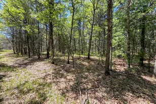 W5981 9th St, Necedah, WI 54646 - Photo 3