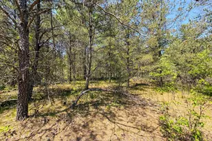 W5981 9th St, Necedah, WI 54646 - Photo 47