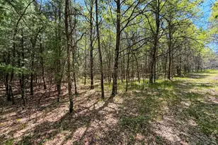 W5981 9th St, Necedah, WI 54646 - Photo 5