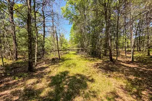 W5981 9th St, Necedah, WI 54646 - Photo 53