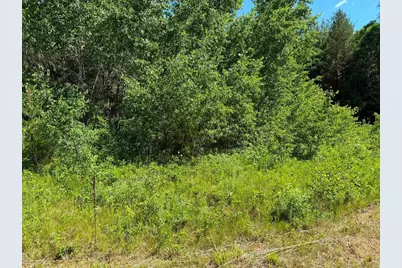 2.5 Acres County Road C, Arkdale, WI 54613 - Photo 1