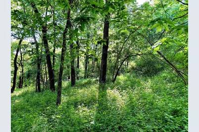 26 Acres +/- Tanglewood Drive, Mcgregor, IA 52157 - Photo 5